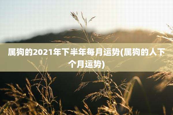 属狗的2021年下半年每月运势(属狗的人下个月运势)