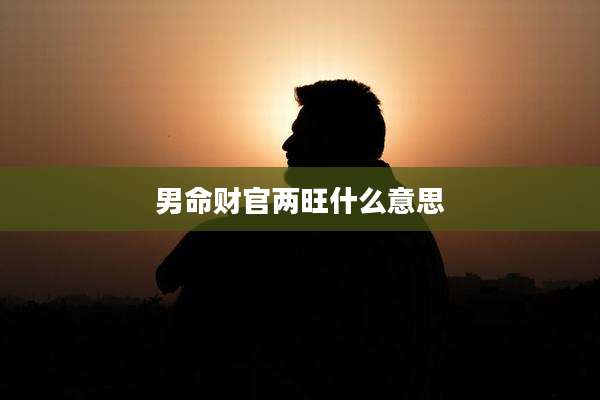 男命财官两旺什么意思