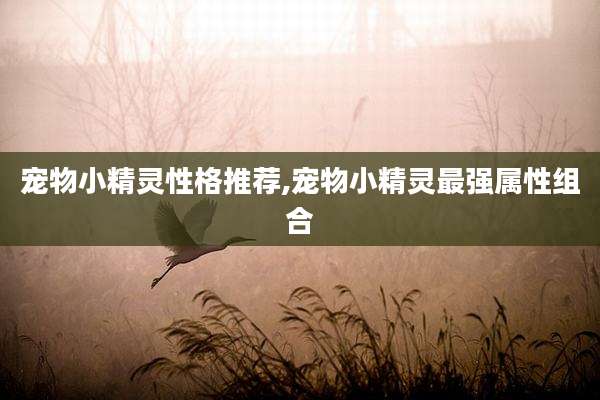 宠物小精灵性格推荐,宠物小精灵最强属性组合