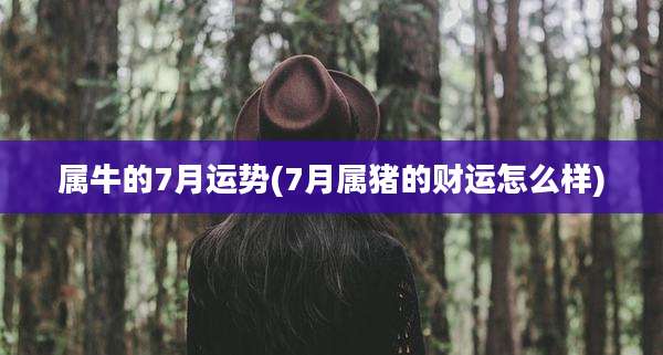 属牛的7月运势(7月属猪的财运怎么样)