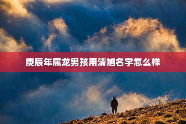 庚辰年属龙男孩用清旭名字怎么样