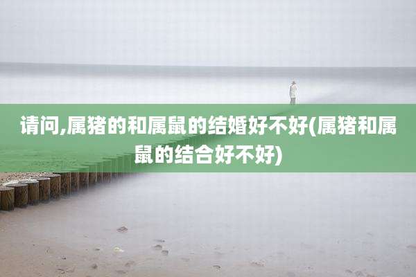 请问,属猪的和属鼠的结婚好不好(属猪和属鼠的结合好不好)