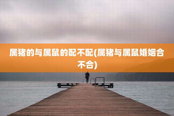 属猪的与属鼠的配不配(属猪与属鼠婚姻合不合)