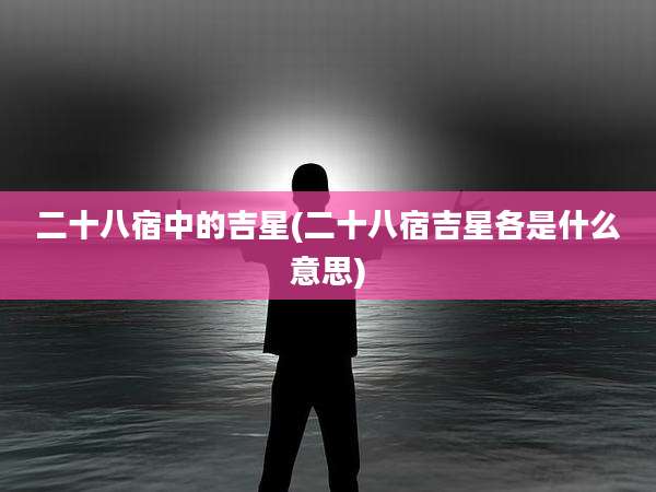 二十八宿中的吉星(二十八宿吉星各是什么意思)