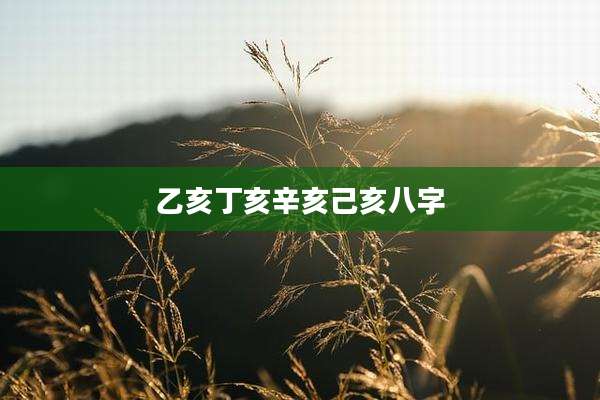 乙亥丁亥辛亥己亥八字