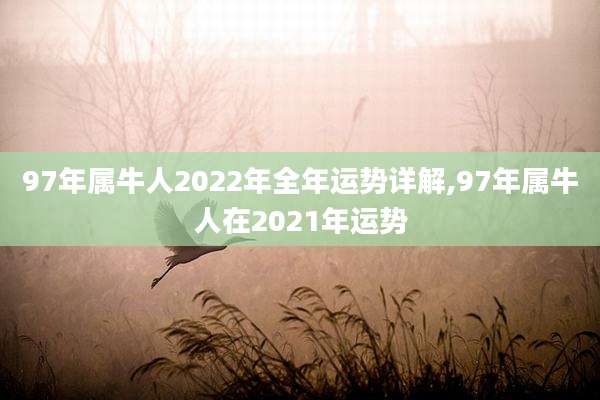 97年属牛人2022年全年运势详解,97年属牛人在2021年运势