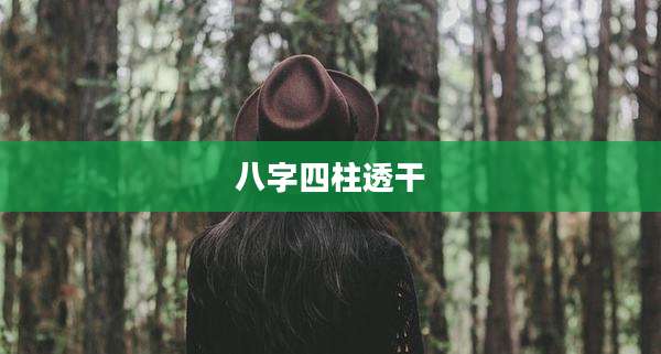 八字四柱透干