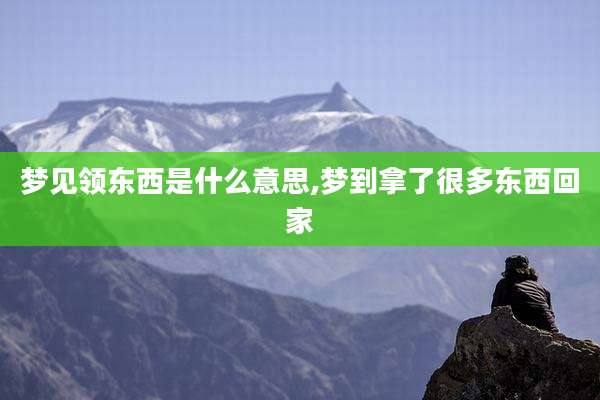 梦见领东西是什么意思,梦到拿了很多东西回家