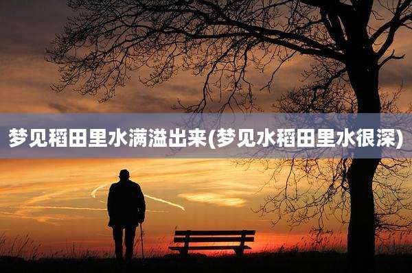 梦见稻田里水满溢出来(梦见水稻田里水很深)