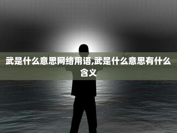 武是什么意思网络用语,武是什么意思有什么含义