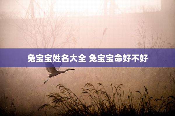 兔宝宝姓名大全 兔宝宝命好不好