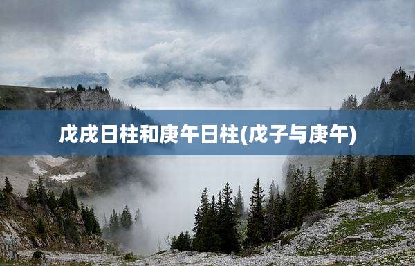 戊戌日柱和庚午日柱(戊子与庚午)