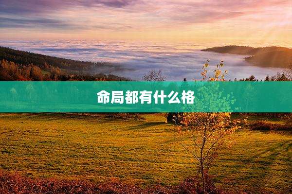 命局都有什么格