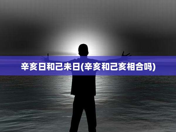 辛亥日和己未日(辛亥和己亥相合吗)