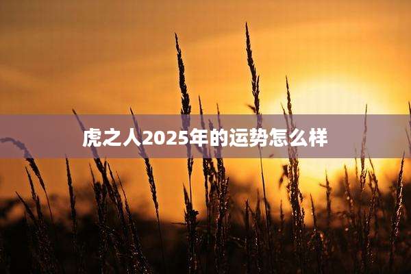 虎之人2025年的运势怎么样