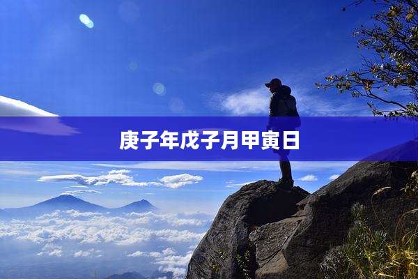 庚子年戊子月甲寅日