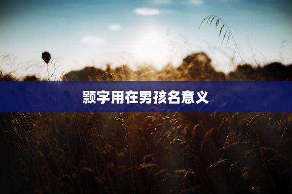 颢字用在男孩名意义