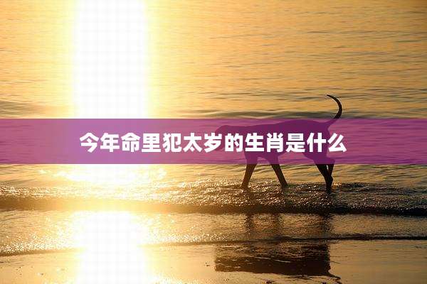 今年命里犯太岁的生肖是什么