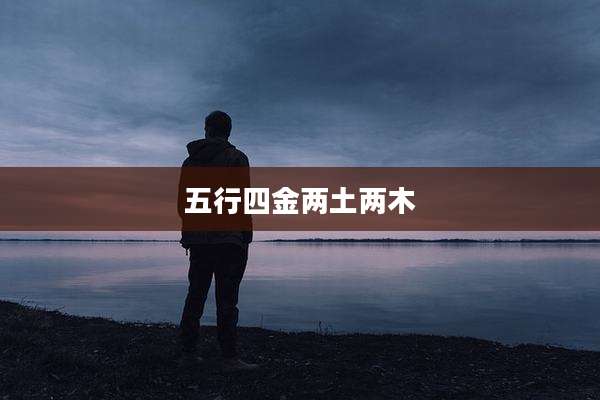 五行四金两土两木