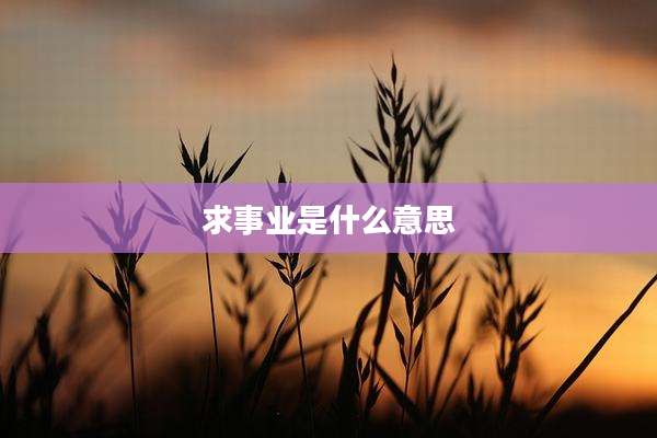 求事业是什么意思