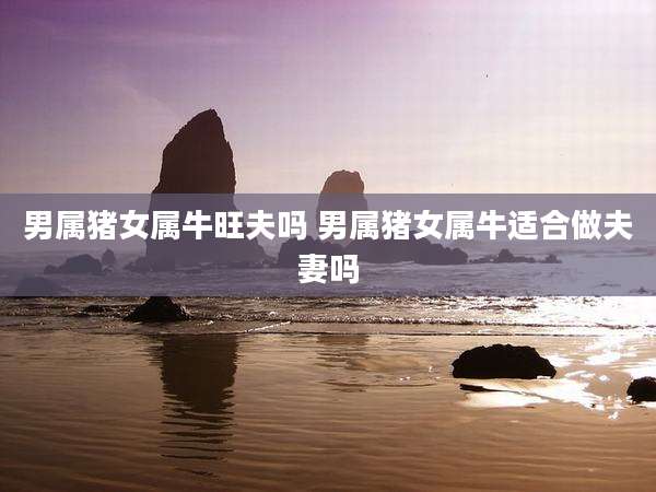 男属猪女属牛旺夫吗 男属猪女属牛适合做夫妻吗
