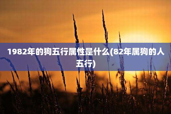 1982年的狗五行属性是什么(82年属狗的人五行)