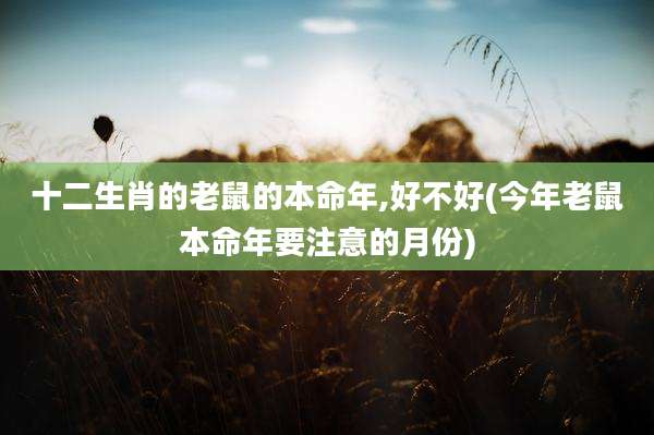 十二生肖的老鼠的本命年,好不好(今年老鼠本命年要注意的月份)