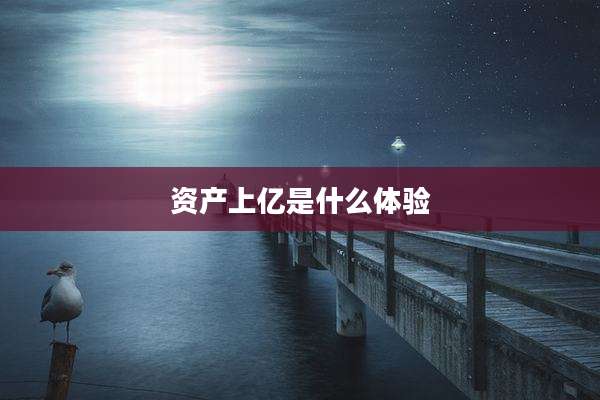 资产上亿是什么体验