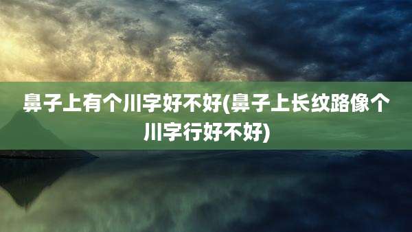 鼻子上有个川字好不好(鼻子上长纹路像个川字行好不好)