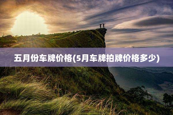 五月份车牌价格(5月车牌拍牌价格多少)