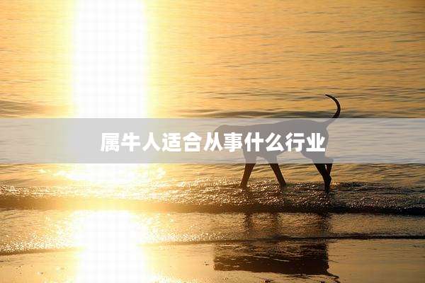 属牛人适合从事什么行业