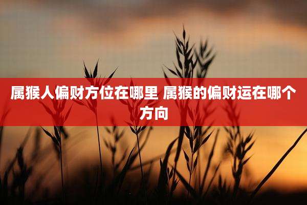 属猴人偏财方位在哪里 属猴的偏财运在哪个方向