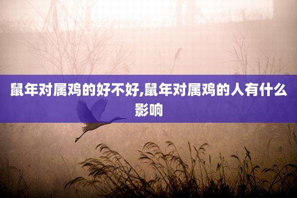 鼠年对属鸡的好不好,鼠年对属鸡的人有什么影响