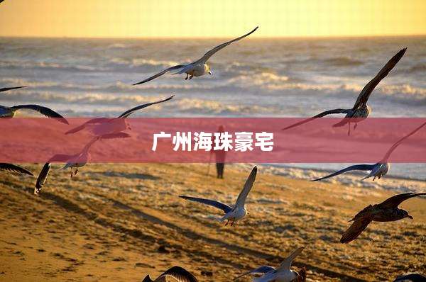 广州海珠豪宅