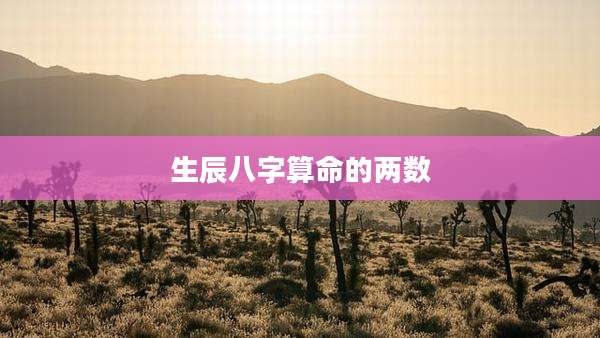 生辰八字算命的两数