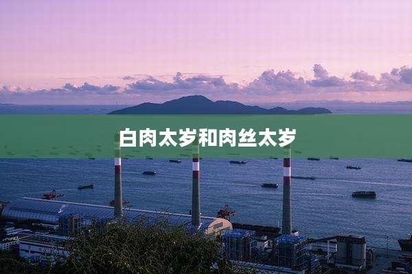 白肉太岁和肉丝太岁