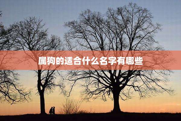 属狗的适合什么名字有哪些