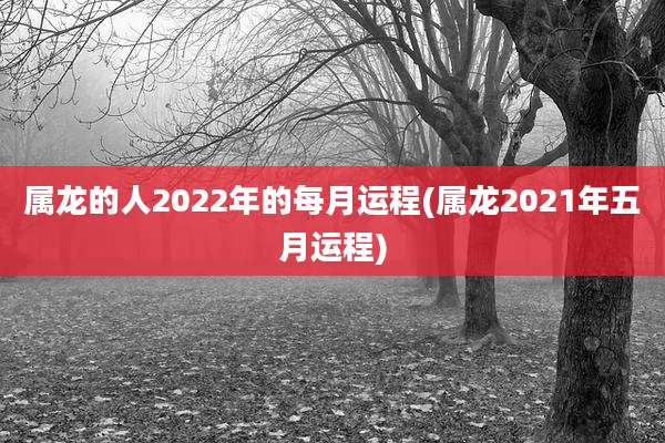 属龙的人2022年的每月运程(属龙2021年五月运程)