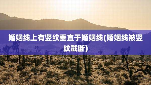 婚姻线上有竖纹垂直于婚姻线(婚姻线被竖纹截断)