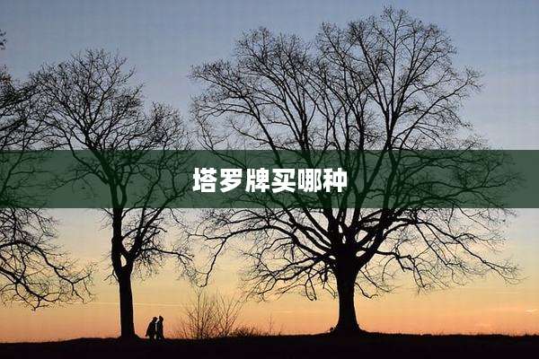 塔罗牌买哪种