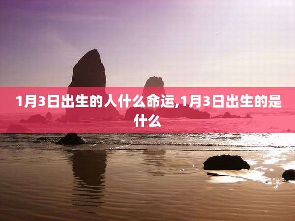 1月3日出生的人什么命运,1月3日出生的是什么