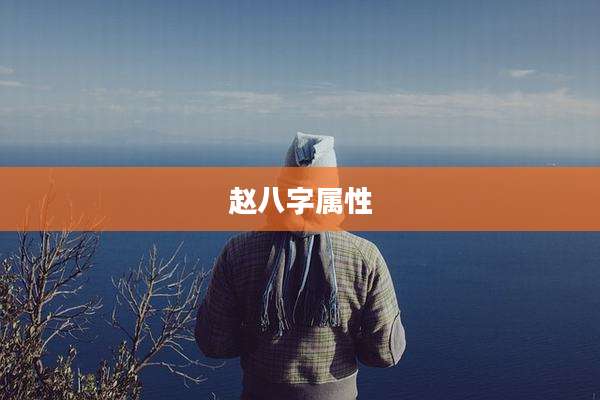 赵八字属性