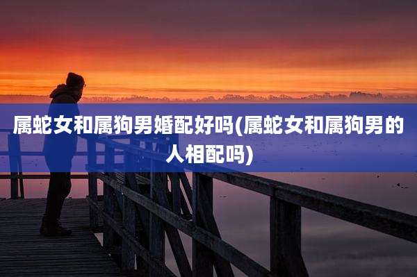 属蛇女和属狗男婚配好吗(属蛇女和属狗男的人相配吗)