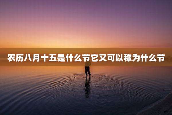 农历八月十五是什么节它又可以称为什么节