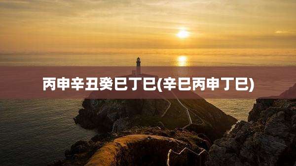丙申辛丑癸巳丁巳(辛巳丙申丁巳)