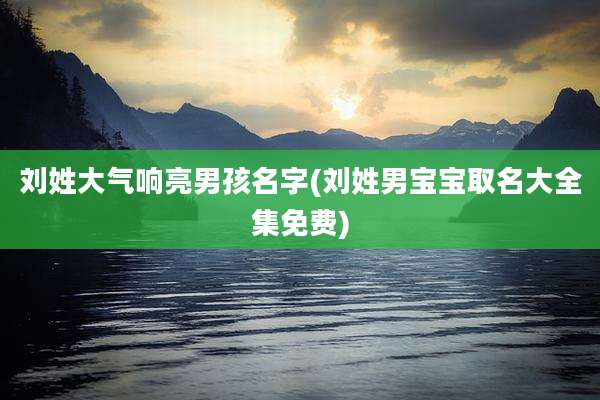 刘姓大气响亮男孩名字(刘姓男宝宝取名大全集免费)
