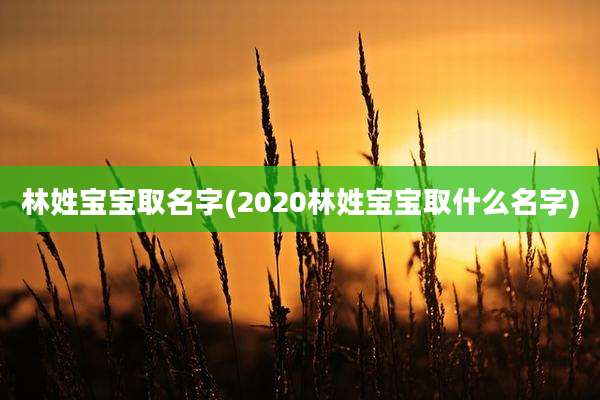 林姓宝宝取名字(2020林姓宝宝取什么名字)