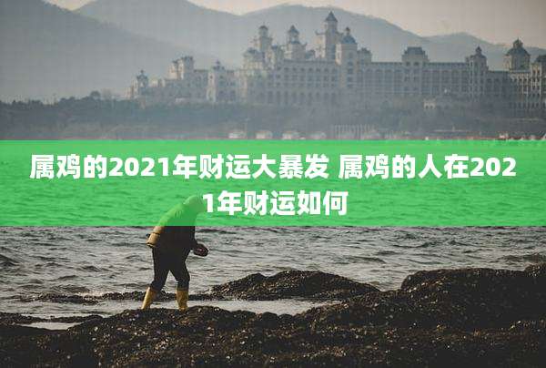 属鸡的2021年财运大暴发 属鸡的人在2021年财运如何
