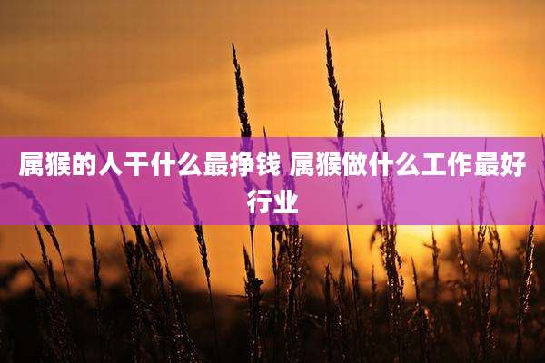属猴的人干什么最挣钱 属猴做什么工作最好行业