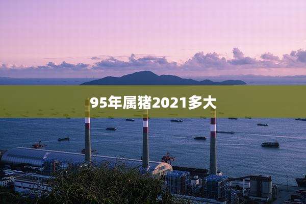 95年属猪2021多大
